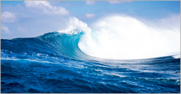 鉴黑担保网(jhdbw)·最具权威唯一维权担保平台